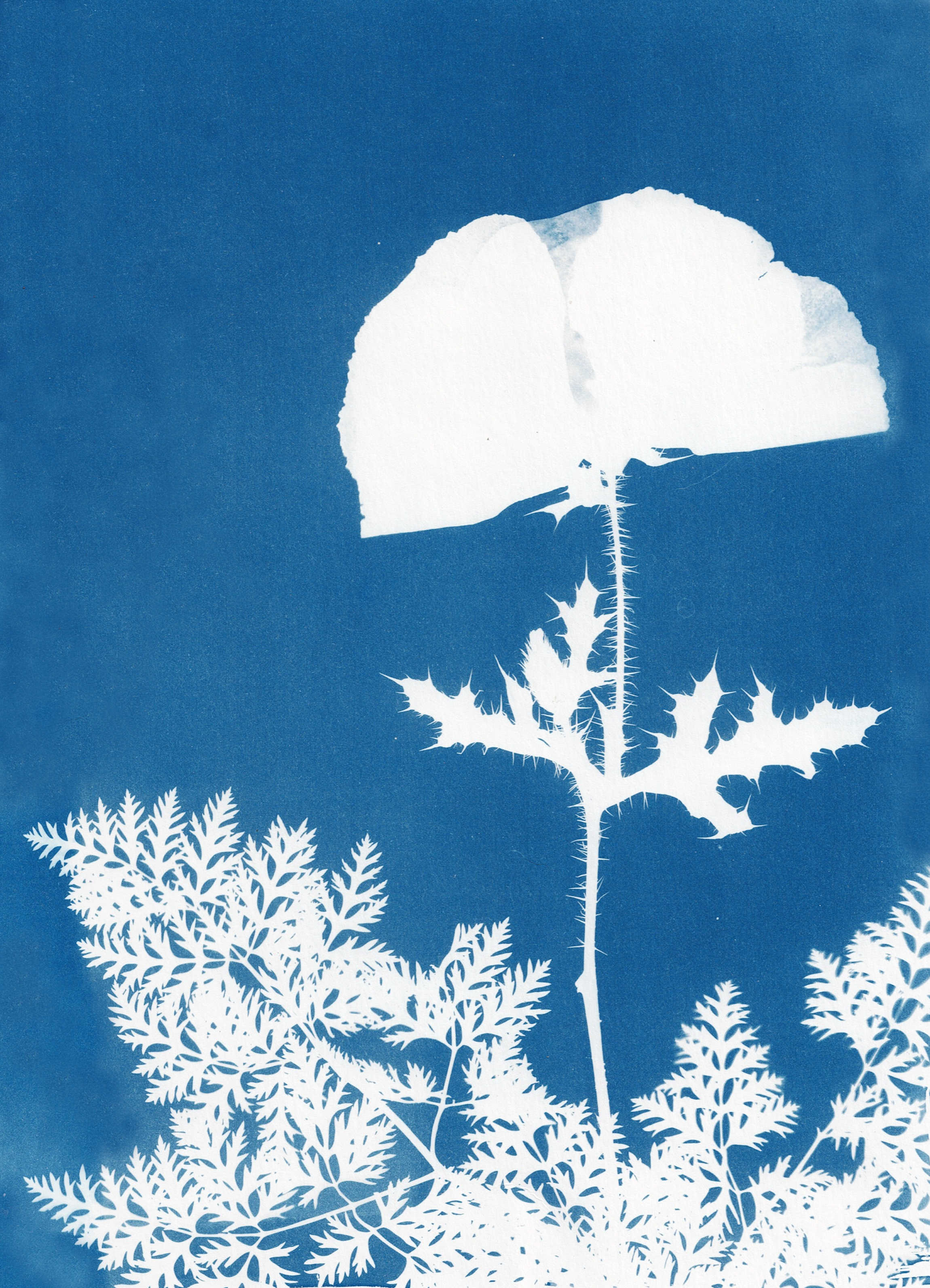 Patagonia Lake State Park